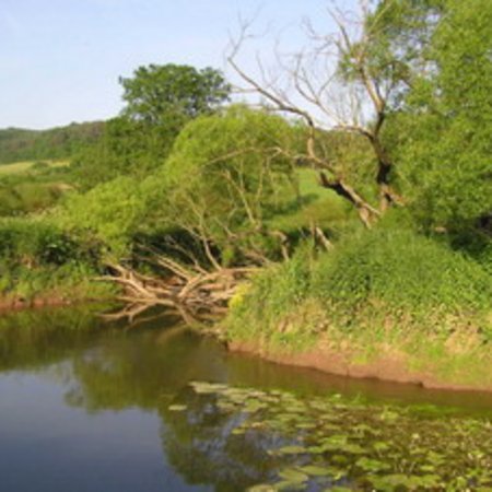 Naturschutzgebiet-13