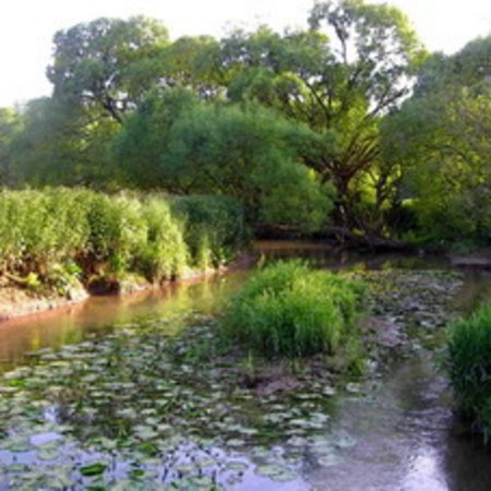 Naturschutzgebiet-34
