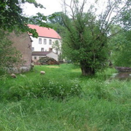 Dietschweiler Mühle-20