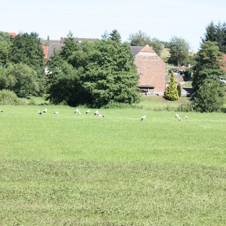 Dorfansichten-3