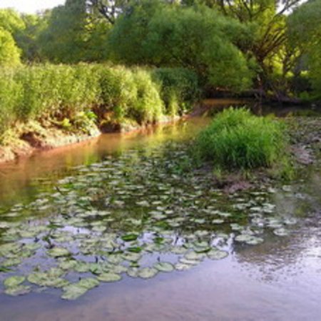 Naturschutzgebiet-35