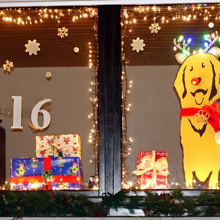 Adventsfenster-16