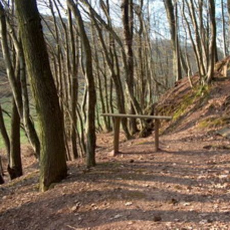 Röhrbrünnchen-9