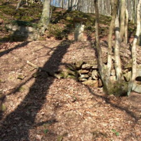Röhrbrünnchen-24