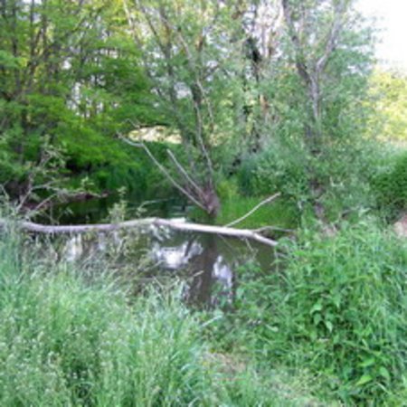 Naturschutzgebiet-4