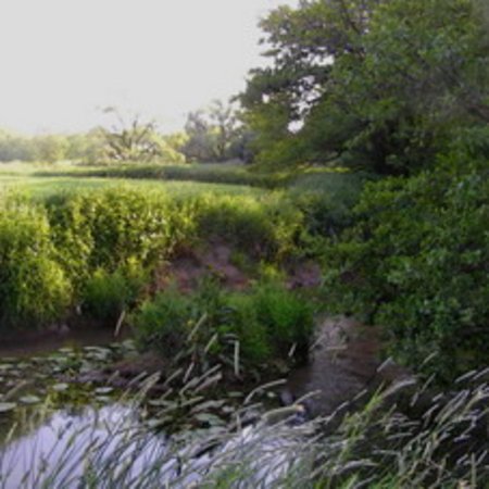 Naturschutzgebiet-36