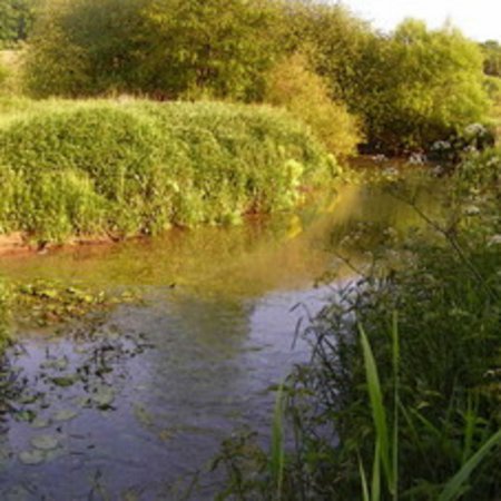 Naturschutzgebiet-28