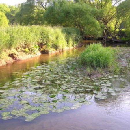 Naturschutzgebiet-25