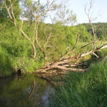 Naturschutzgebiet