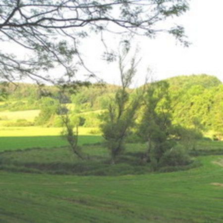 Naturschutzgebiet-38