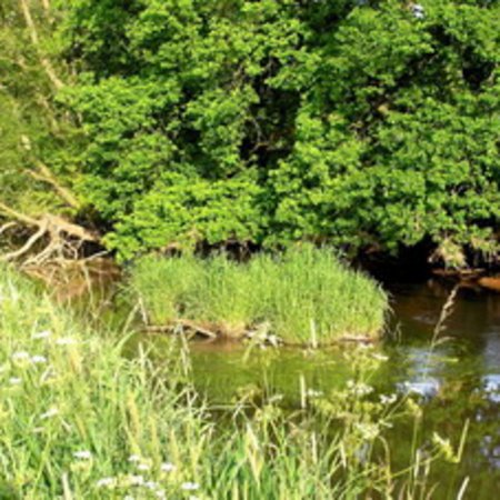 Naturschutzgebiet-21