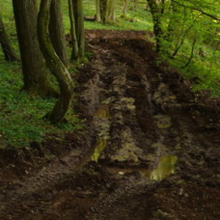 Wassertretbad-28