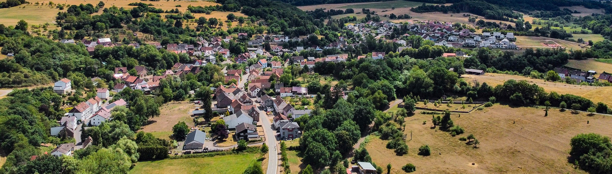 Nanzdietschweiler